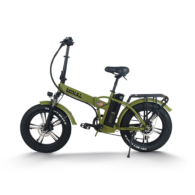 48V 350W 10.5Ah FTC200 Electri - Cycling Gear And Equipment avis et prix